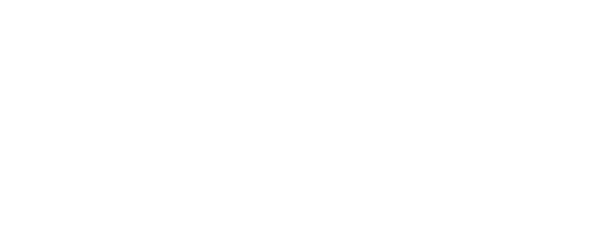 胆道